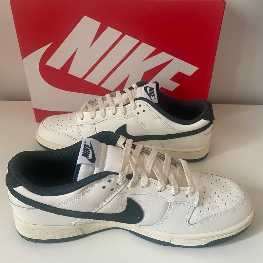 NIB Nike Dunk Low Men’s Size 11 Sneakers FQ8080-133